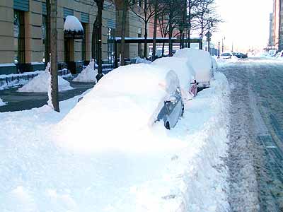 Cars in Snow