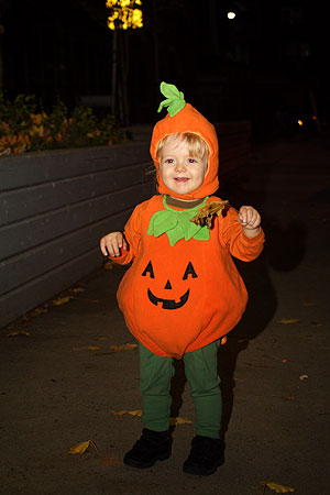 Mr. Pumpkin